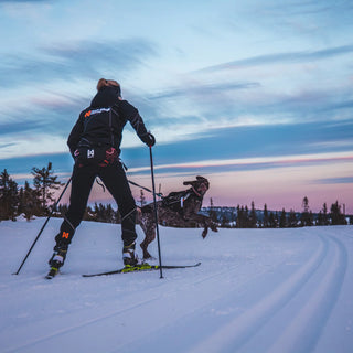 Menneske og hund på skitur med Nonstop dogwear