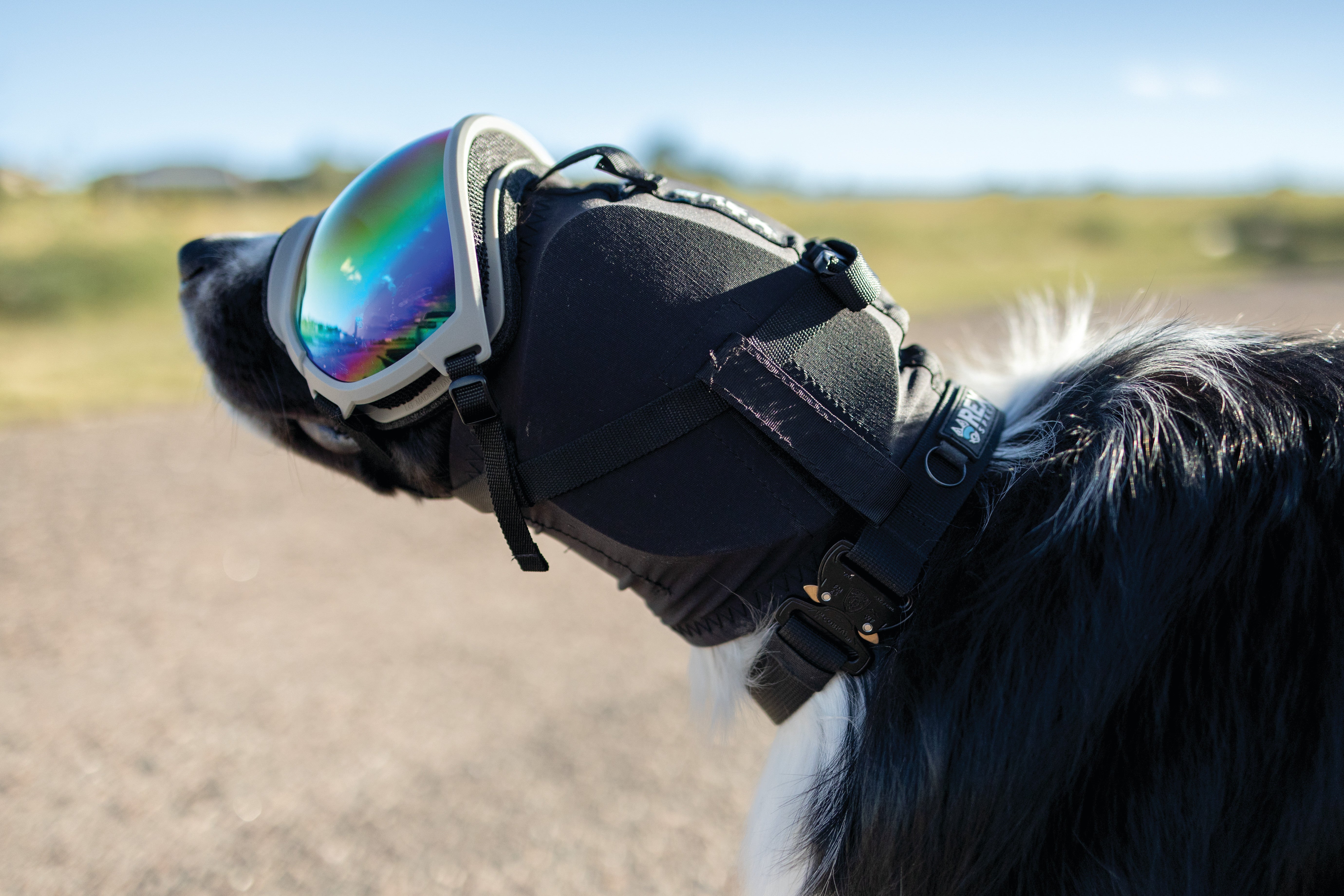 Rex Specs Ear Pro - Ørebeskyttelse