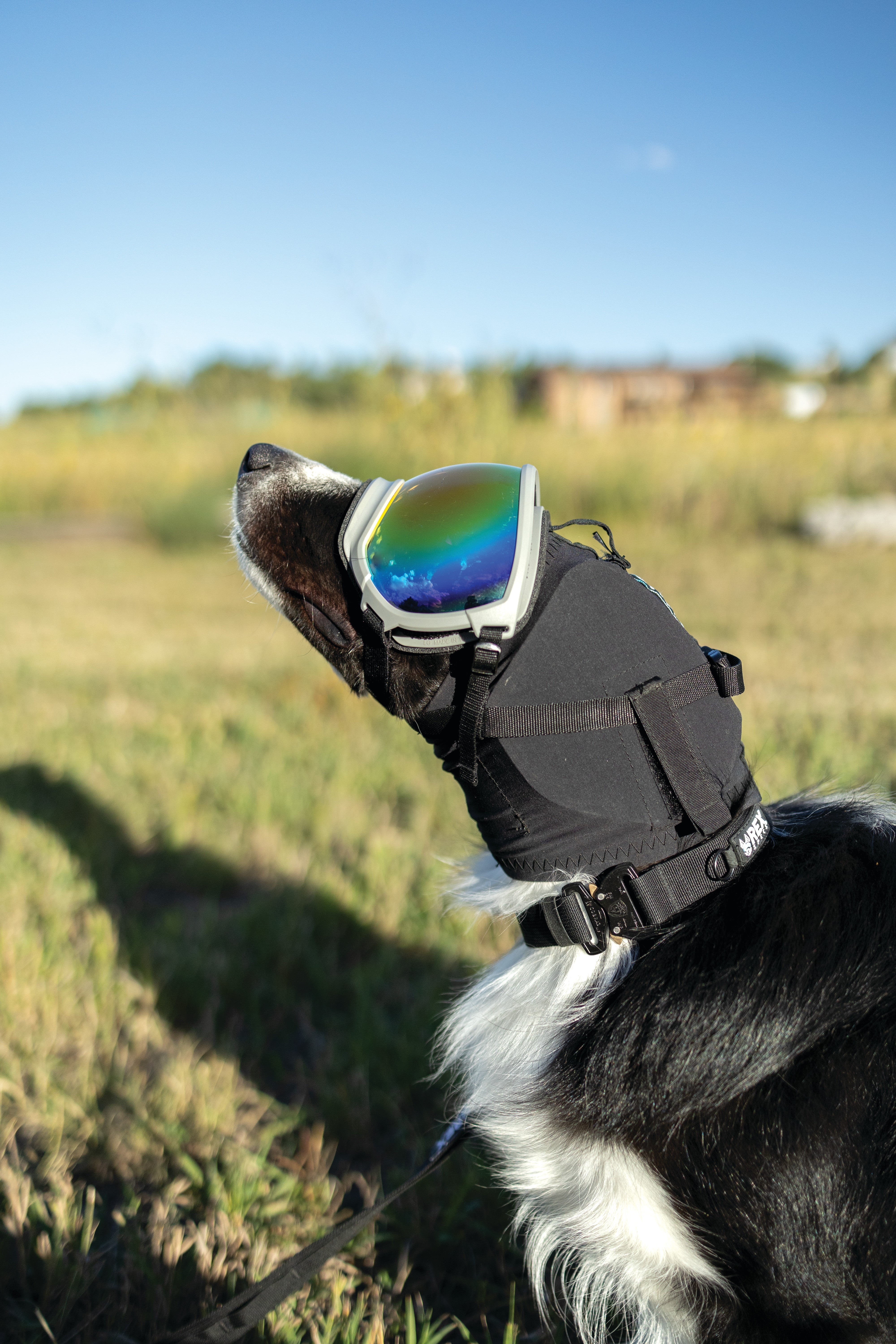 Rex Specs Ear Pro - Ørebeskyttelse