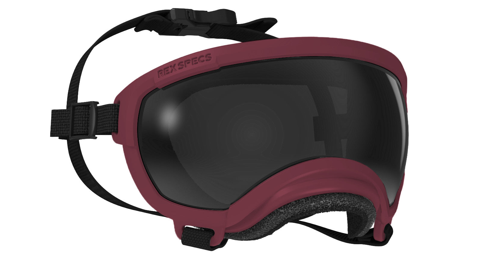 Rex Specs V2 - Goggles