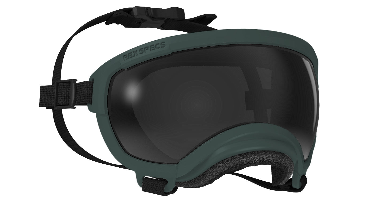 Rex Specs V2 - Goggles