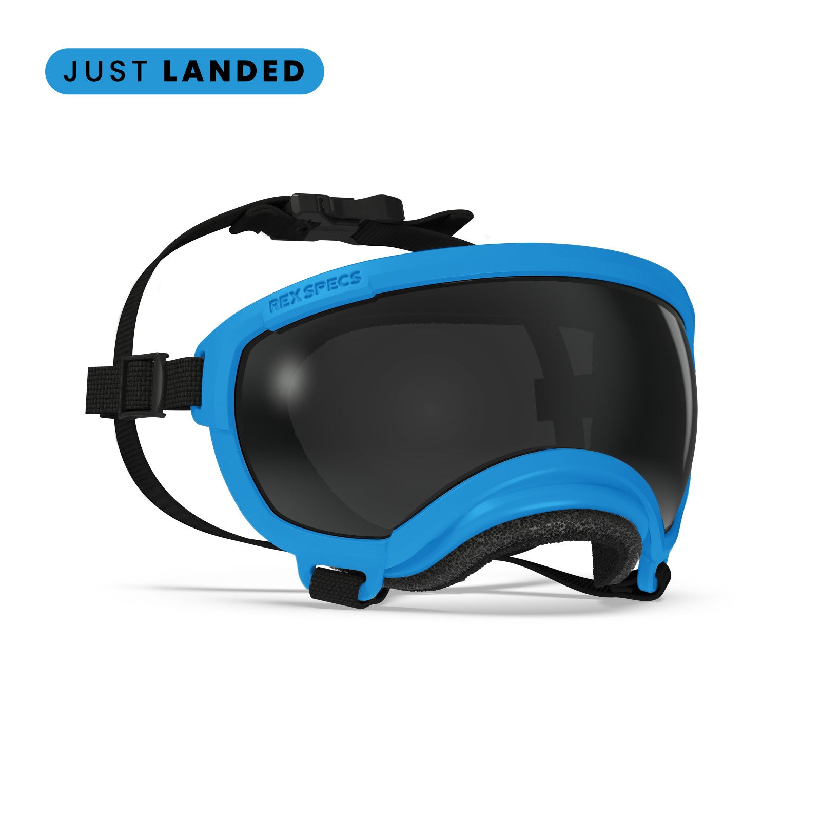 Rex Specs V2 - Goggles