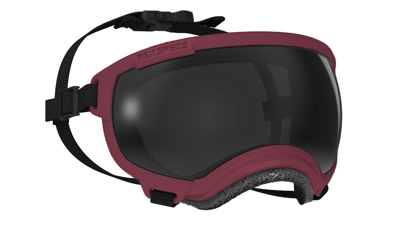 Rex Specs V2 - Goggles