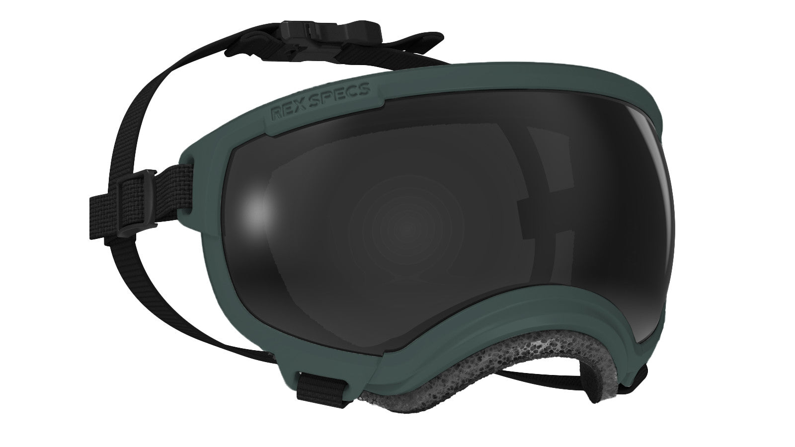 Rex Specs V2 - Goggles