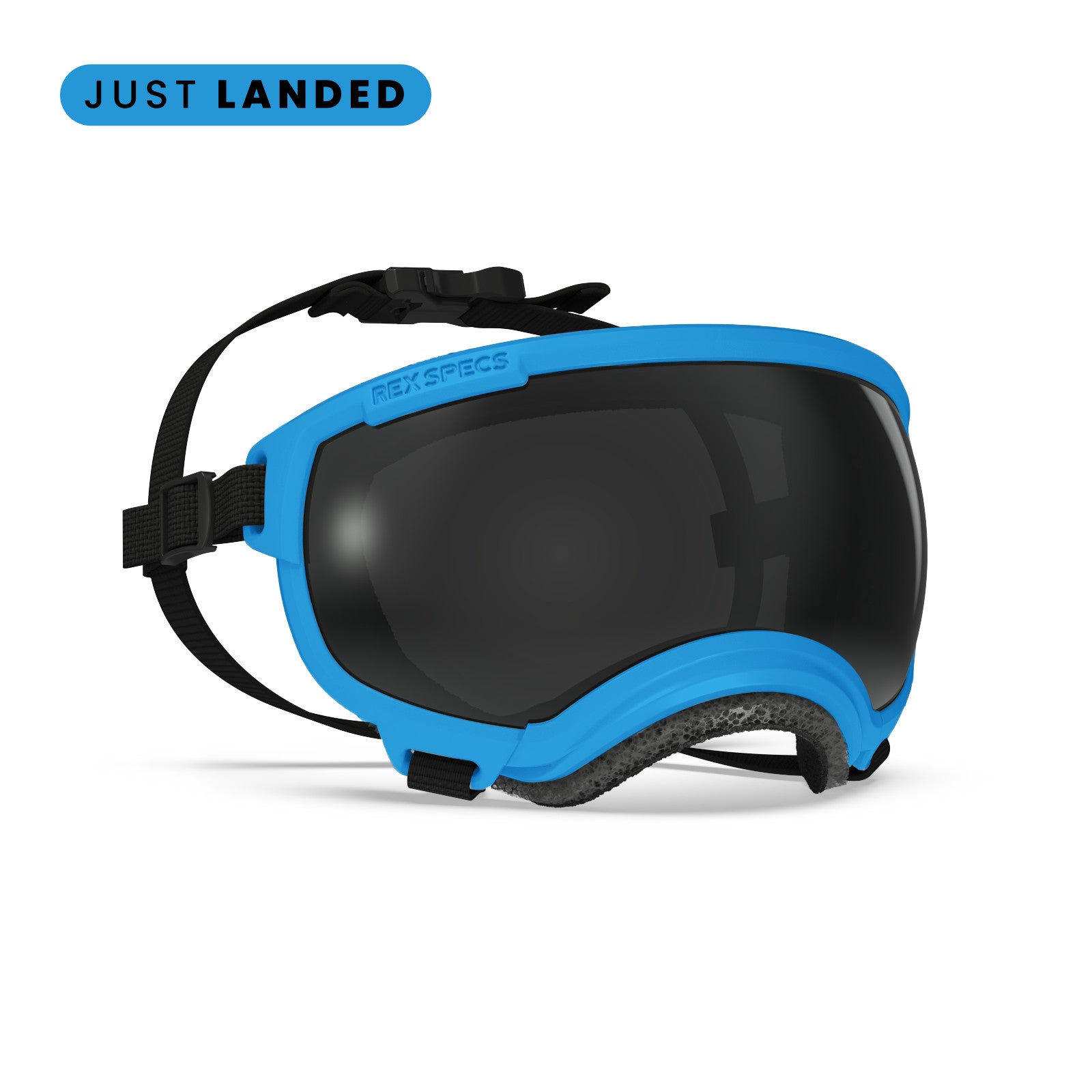 Rex Specs V2 - Goggles