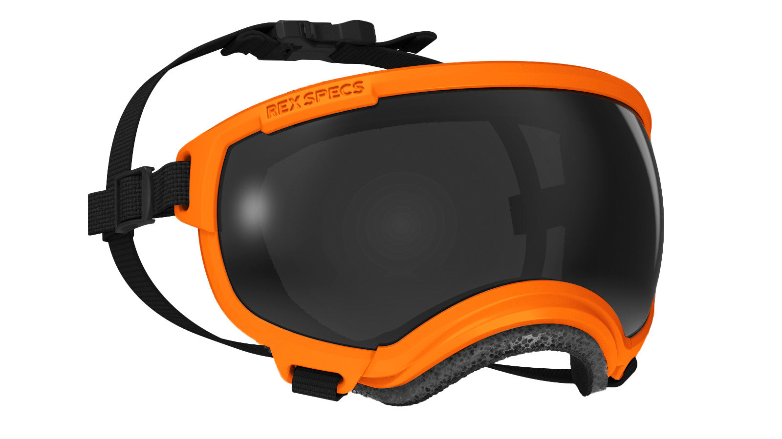Rex Specs V2 - Goggles