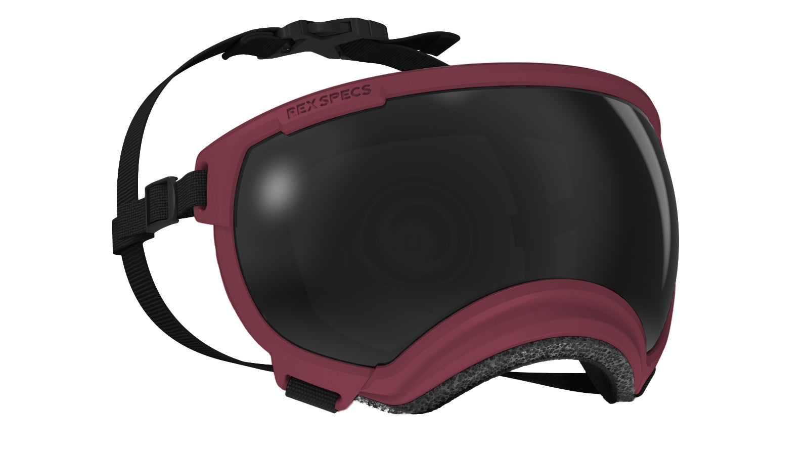 Rex Specs V2 - Goggles