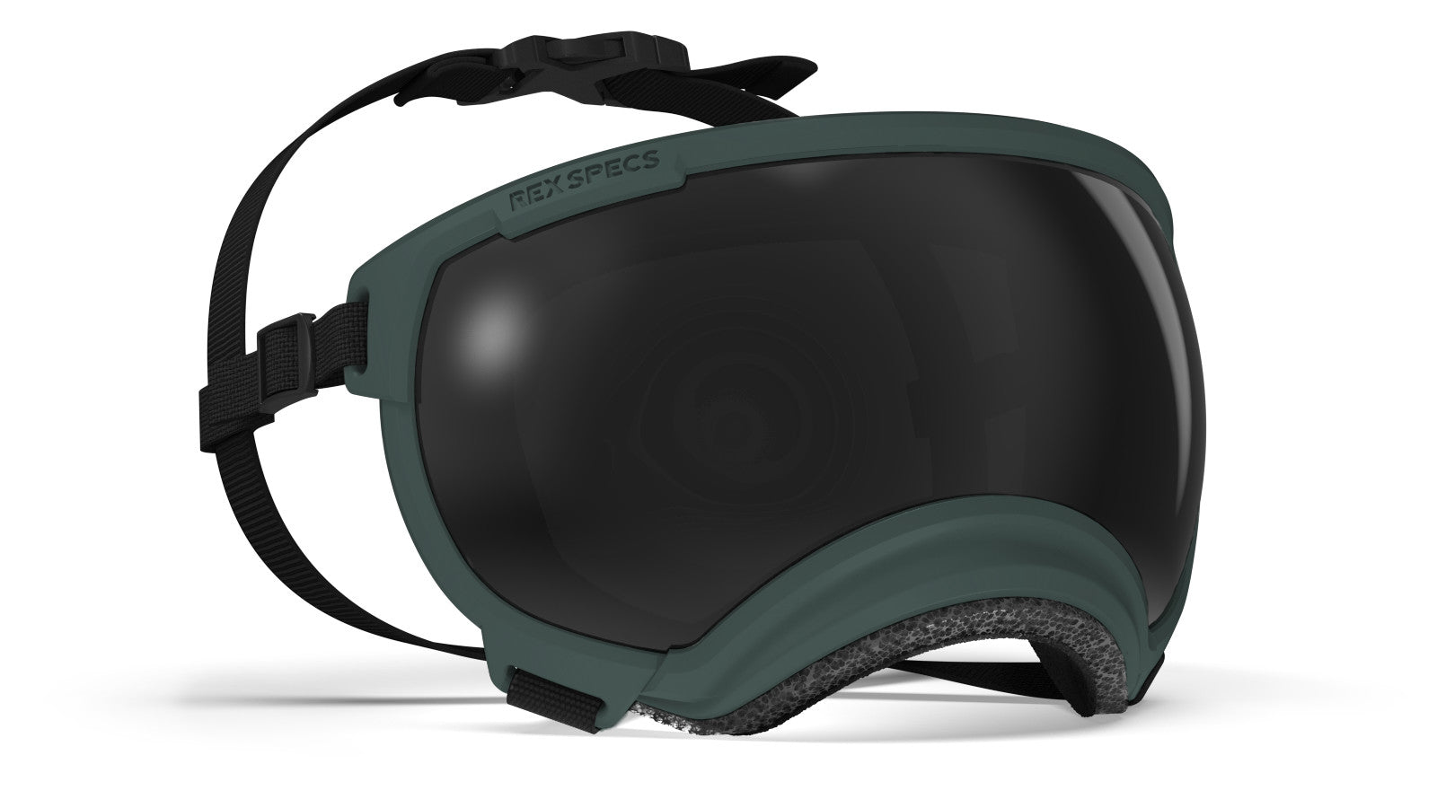 Rex Specs V2 - Goggles