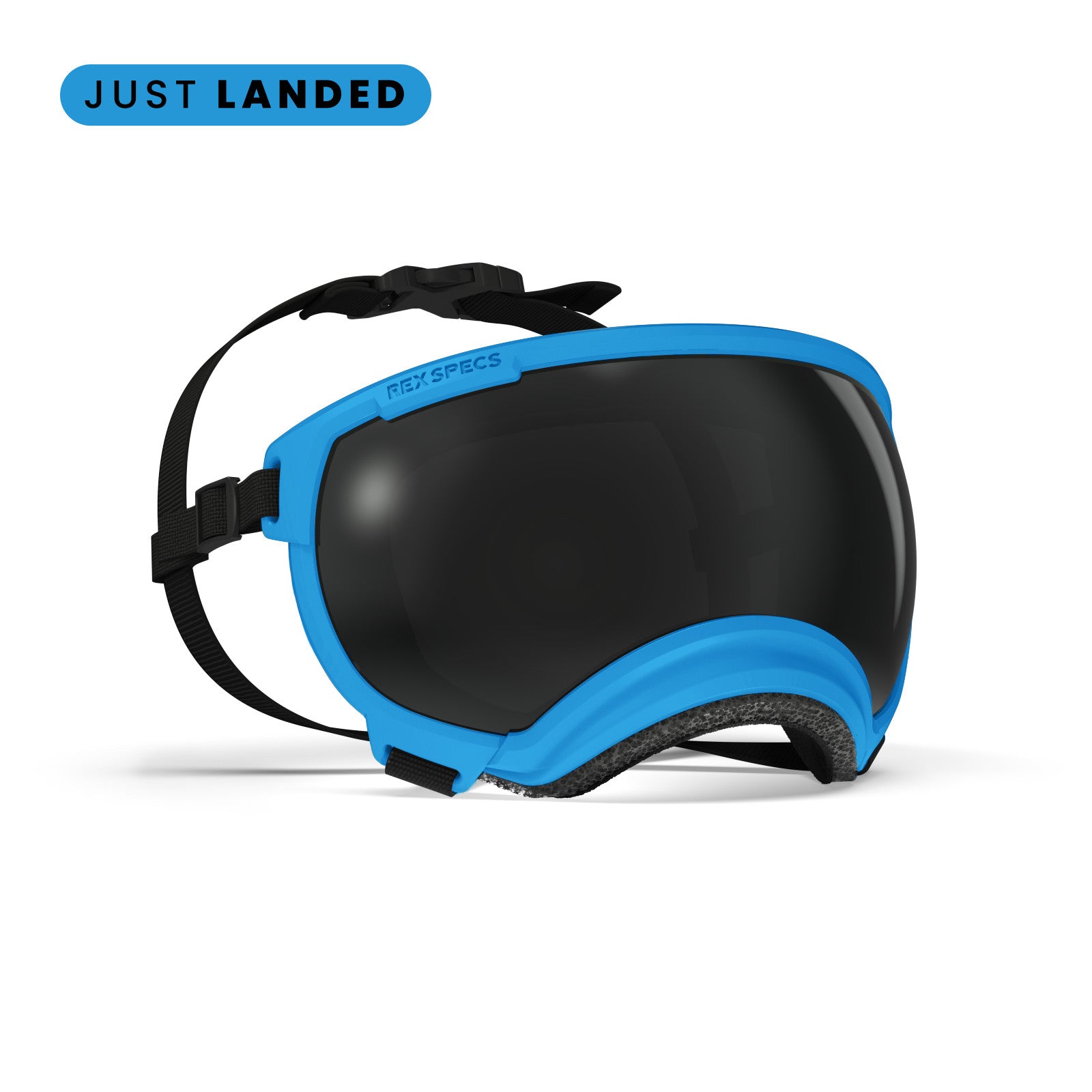 Rex Specs V2 - Goggles