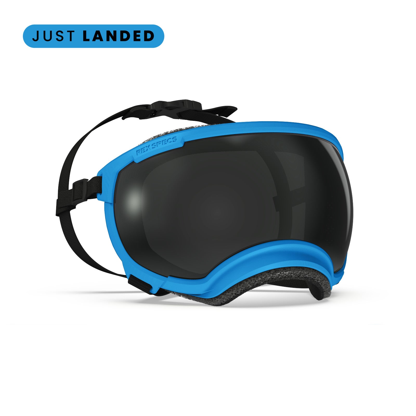 Rex Specs V2 - Goggles