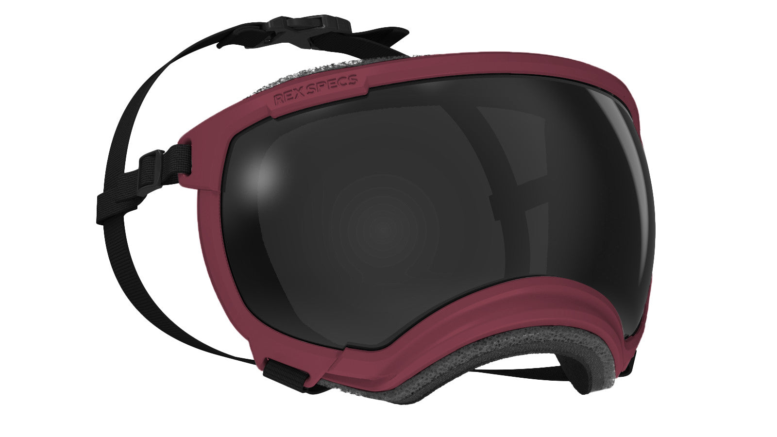 Rex Specs V2 - Goggles