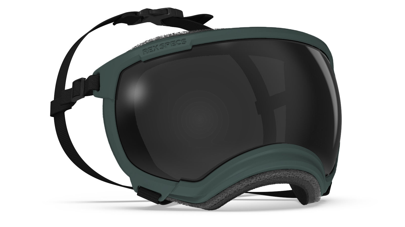 Rex Specs V2 - Goggles