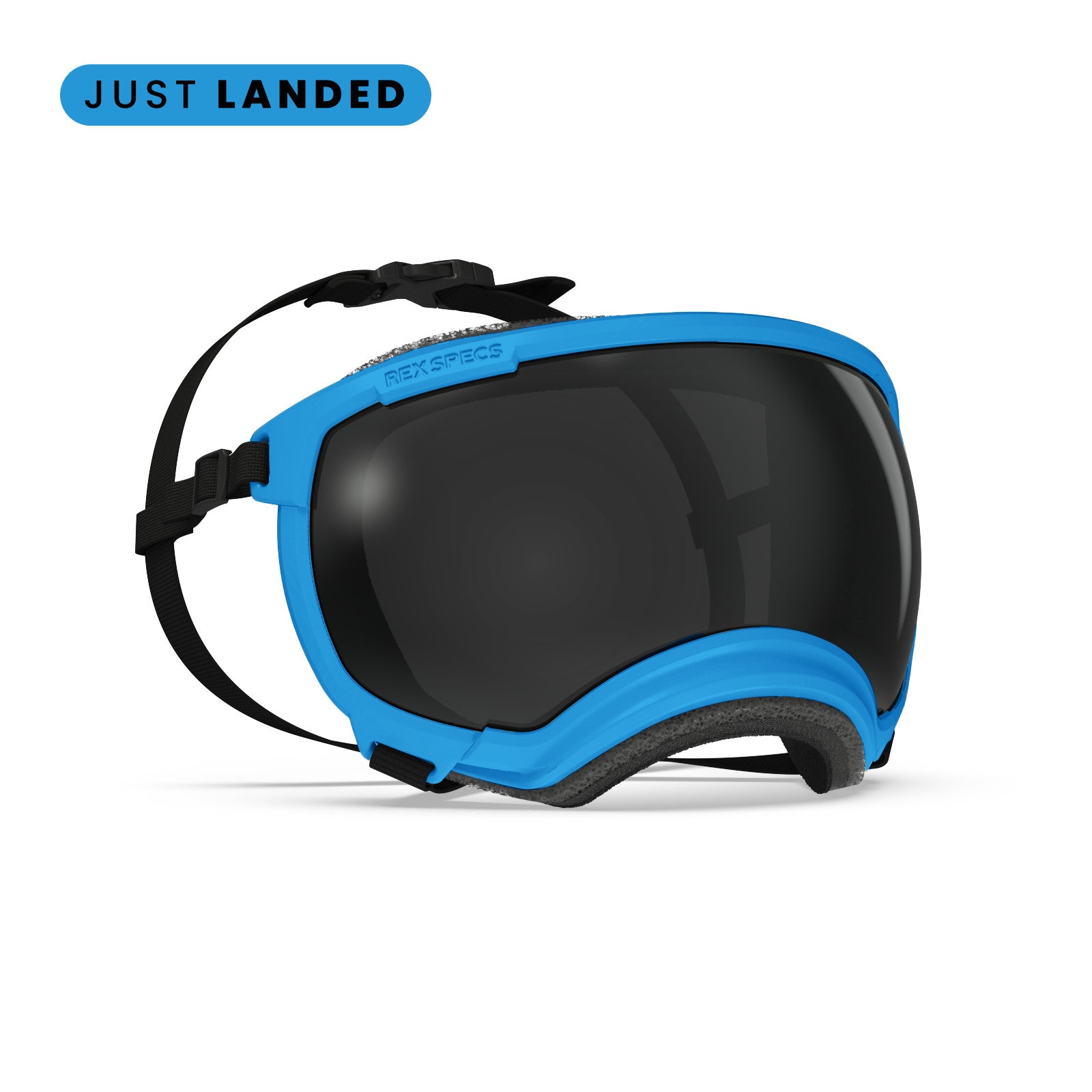 Rex Specs V2 - Goggles