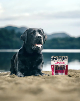 Luna, Labradorlivet, og Tore Tuen med Woolf Snacks