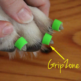 Dr. Buzby's ToeGrips - Hund