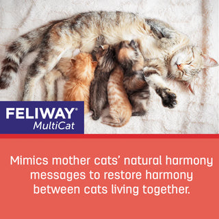 FELIWAY Multicat Refill