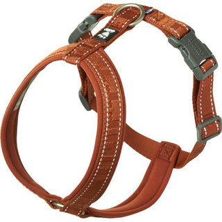 Hurtta Causal Y-Harness