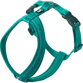 Hurtta Causal Y-Harness