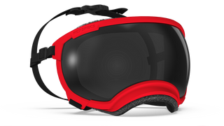 Rex Specs V2 - Goggles