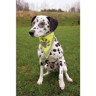 Trixie Bandana med Refleks