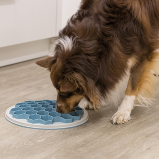 Trixie Hive Slow Feeding Plate