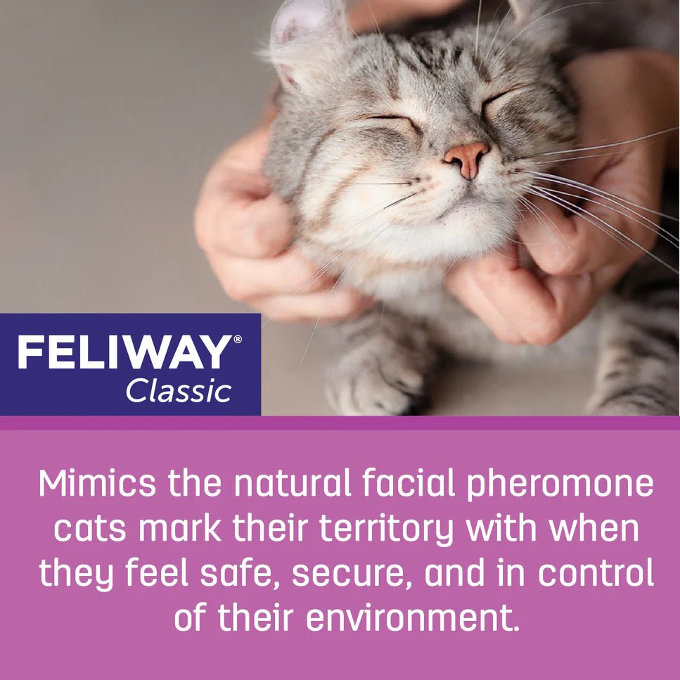 FELIWAY® Classic Refill - Stressdemping () fra Feliway | Kjøp hos A - Vet Shop