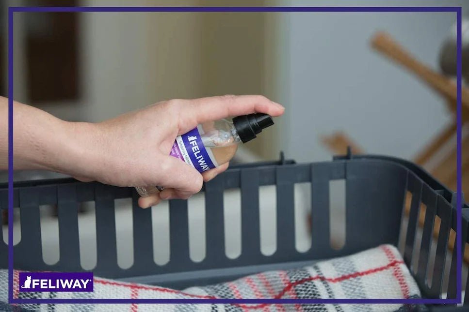 FELIWAY® Classic Spray - Stressdemping (20ml) fra Feliway | Kjøp hos A - Vet Shop