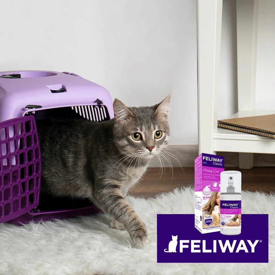 FELIWAY® Classic Spray - Stressdemping (20ml) fra Feliway | Kjøp hos A - Vet Shop