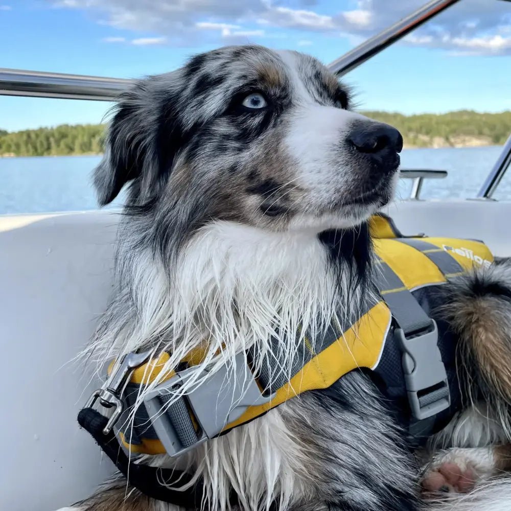 Helios Redningsvest til hund - Redningsvest (S) fra Helios | Kjøp hos A - Vet Shop
