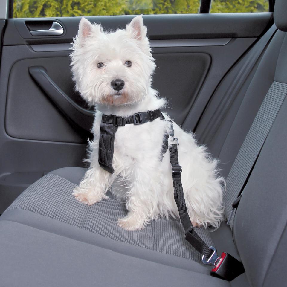 Jolly Paw bilsele - Bilsele/bilbelte (Small) fra Jolly Paw | Kjøp hos A - Vet Shop