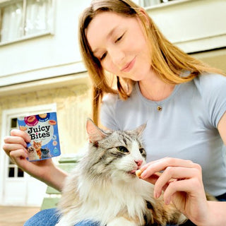 Juicy Cat Bites with Fish and Clam Flavor - A - Vet Shop