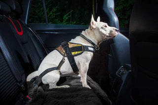 Julius - K9 Seat Belt Connector - A - Vet Shop