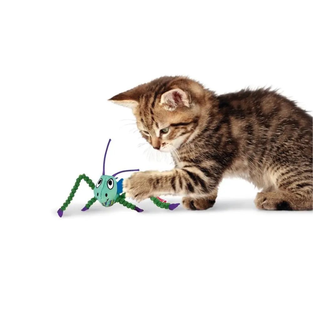 KONG Crackles Grasshopper - Kattemynte () fra Kong | Kjøp hos A - Vet Shop