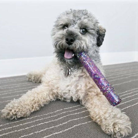 KONG Squeezz Confetti Stick - A - Vet Shop