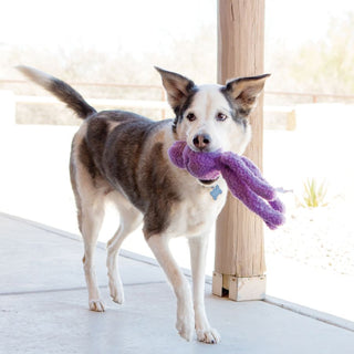 KONG Wubba Snugga - A - Vet Shop