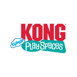 Kong | Play Spaces Cloud