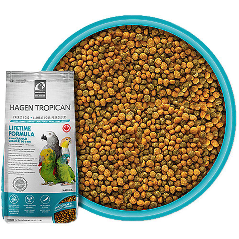 Lifetime Papegøyepellets - A - Vet Shop