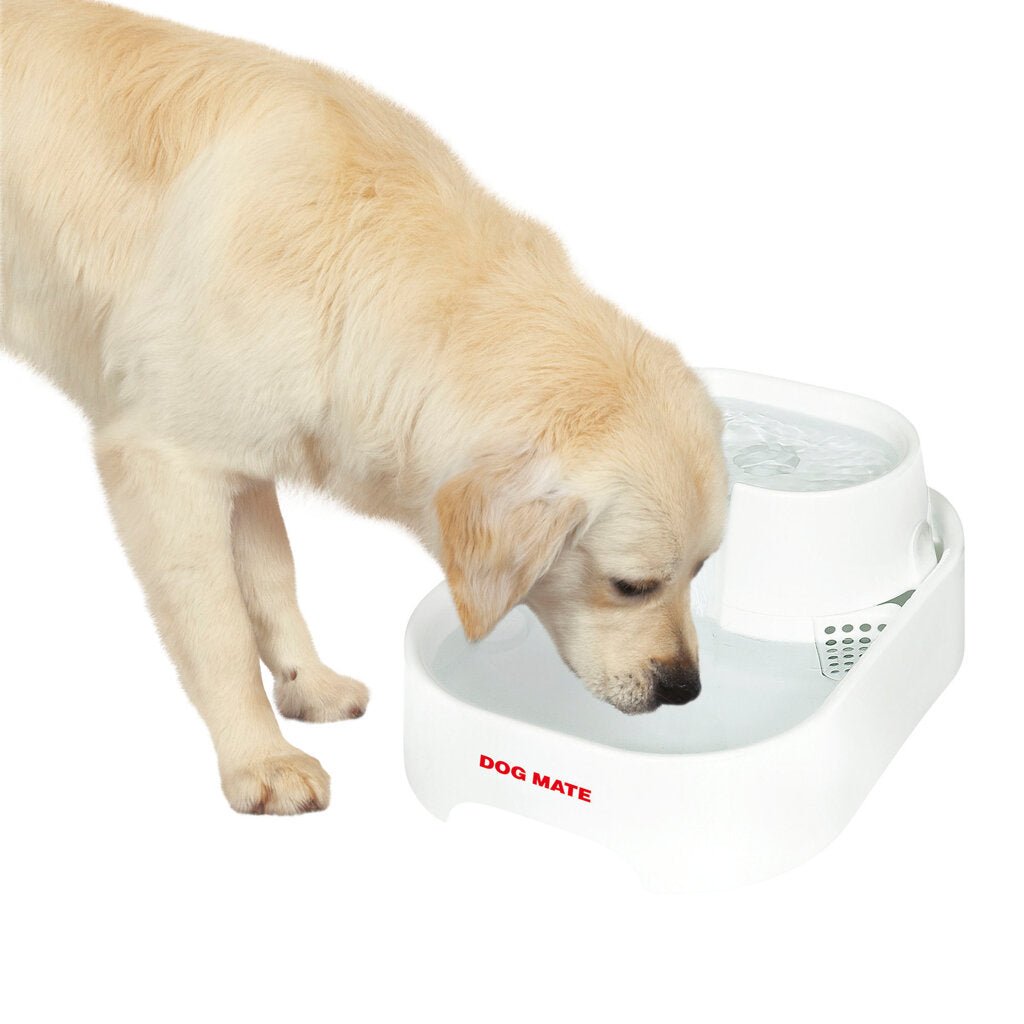 PetMate Vannfontene - Vannfontene (2L) fra PetMate | Kjøp hos A - Vet Shop