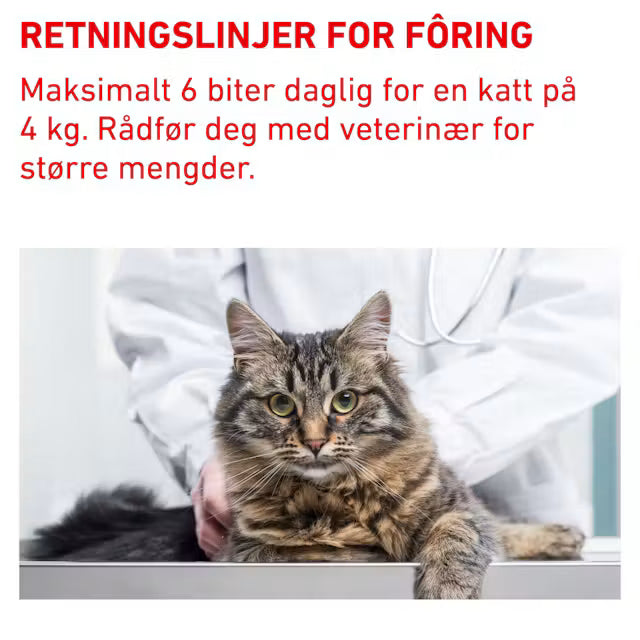 Royal Canin Pill Assist Katt