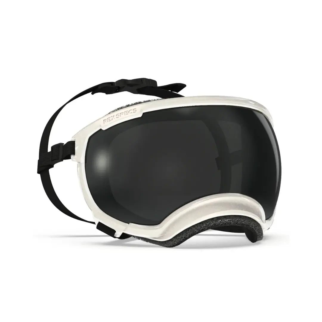 Rex Specs V2 - Beskyttelsesbriller - Beskyttelsesbriller (L) fra Rex Specs | Kjøp hos A - Vet Shop