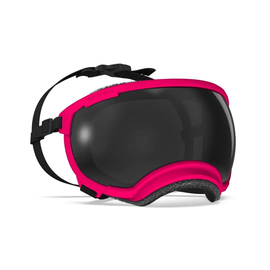 Rex Specs V2 - Beskyttelsesbriller - Beskyttelsesbriller (L) fra Rex Specs | Kjøp hos A - Vet Shop
