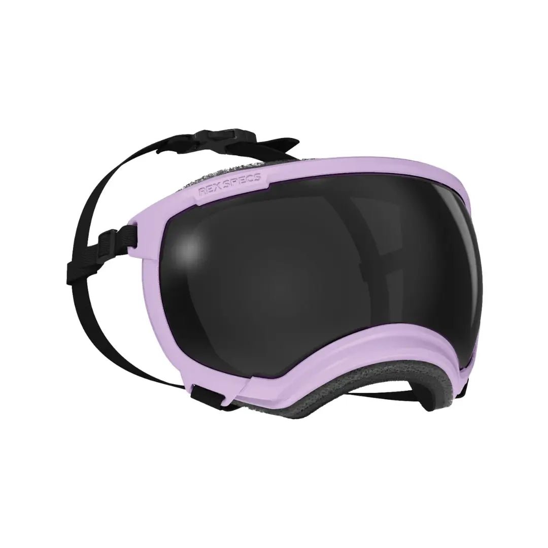 Rex Specs V2 - Beskyttelsesbriller - Beskyttelsesbriller (M) fra Rex Specs | Kjøp hos A - Vet Shop