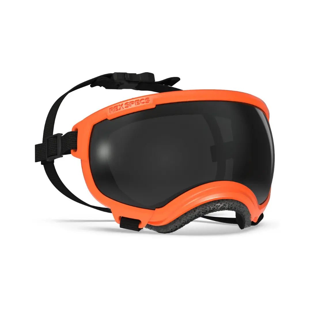 Rex Specs V2 - Beskyttelsesbriller - Beskyttelsesbriller (S) fra Rex Specs | Kjøp hos A - Vet Shop