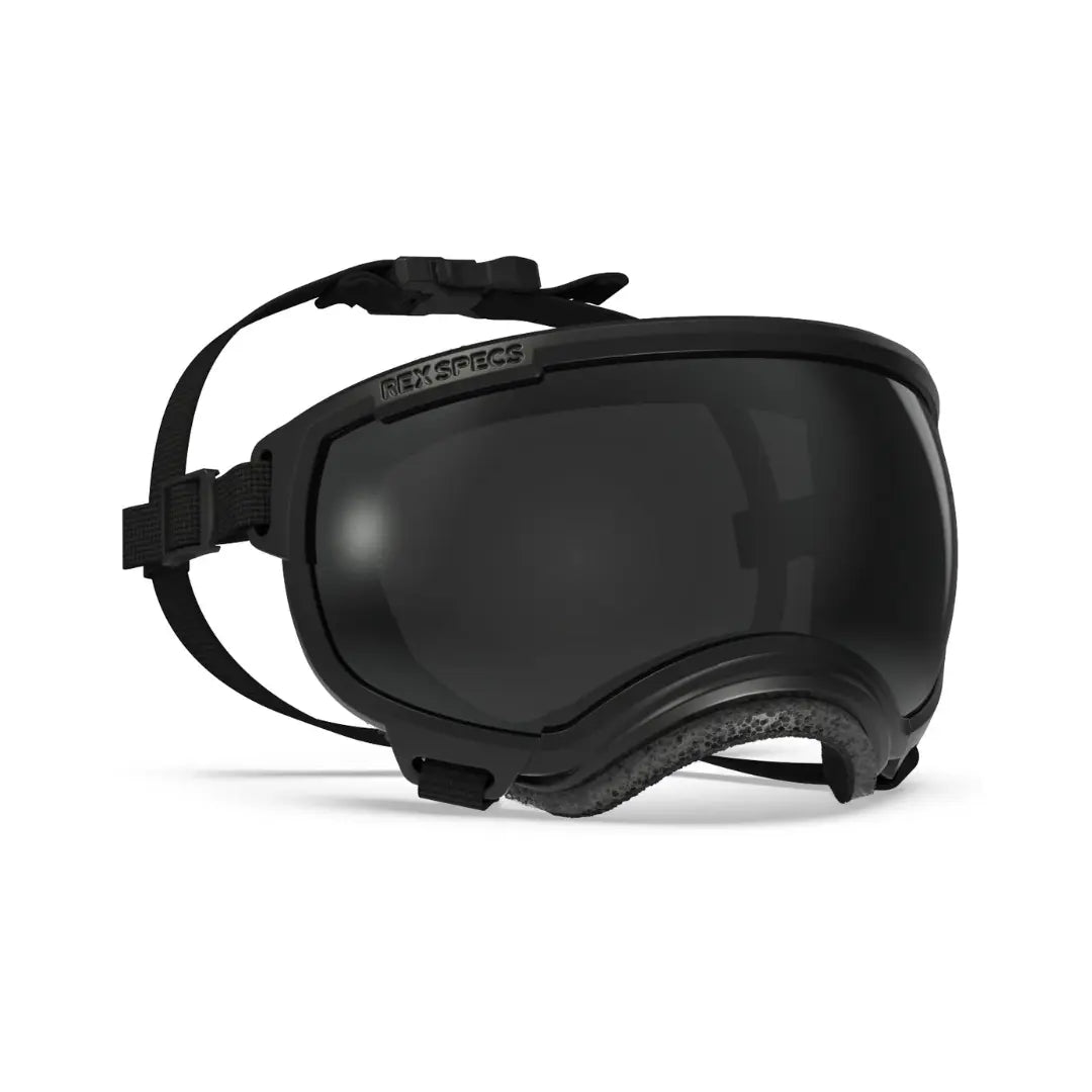 Rex Specs V2 - Beskyttelsesbriller - Beskyttelsesbriller (S) fra Rex Specs | Kjøp hos A - Vet Shop