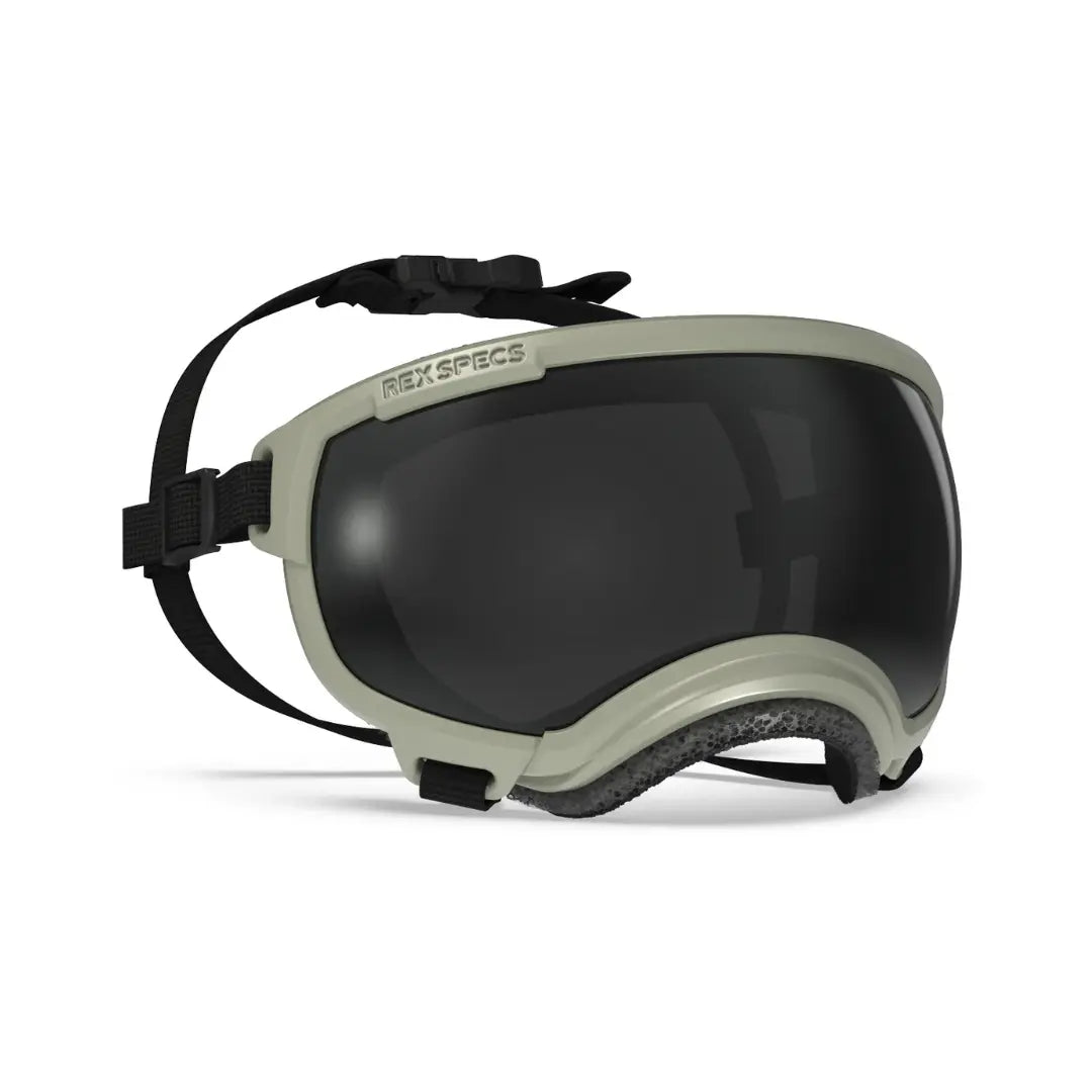Rex Specs V2 - Beskyttelsesbriller - Beskyttelsesbriller (S) fra Rex Specs | Kjøp hos A - Vet Shop