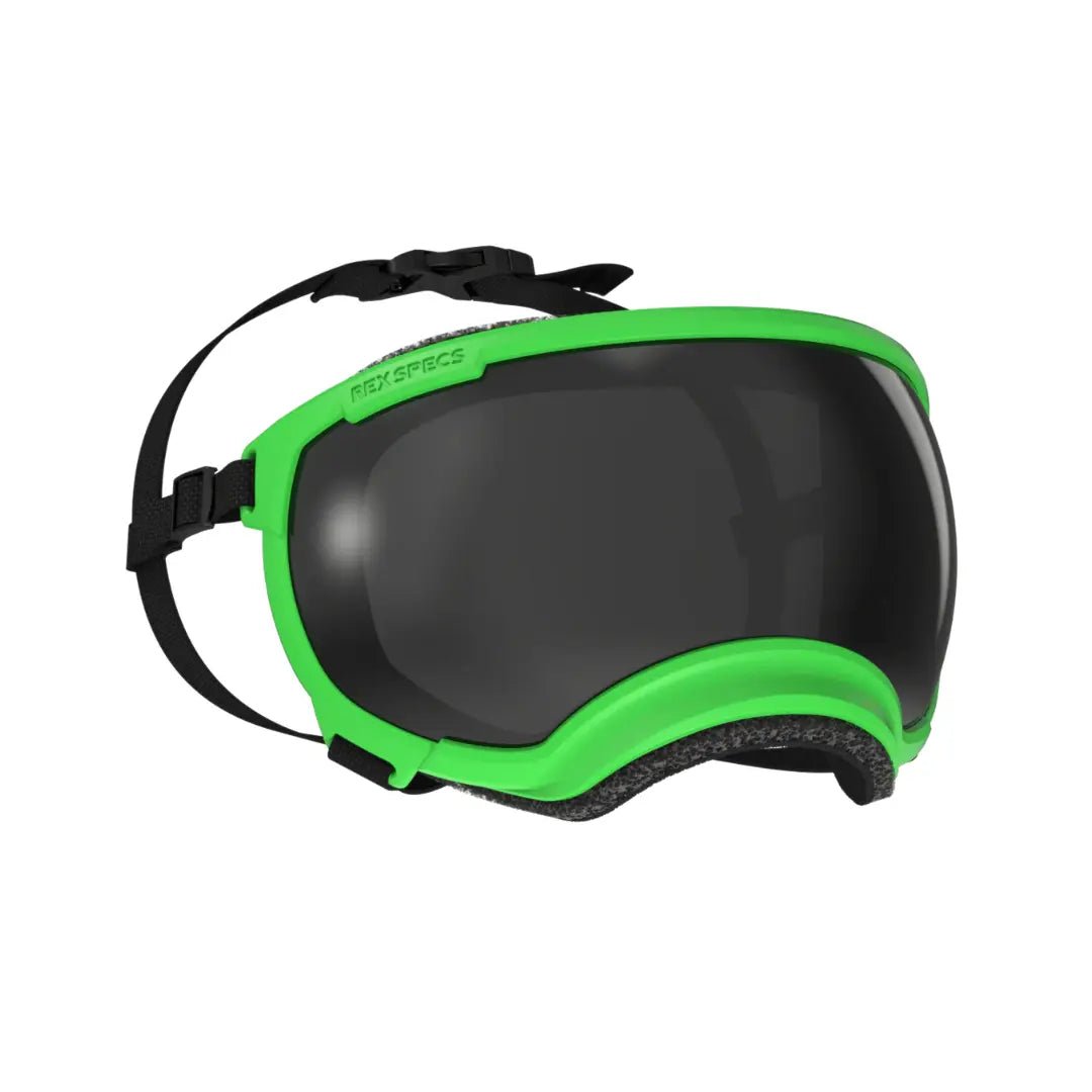 Rex Specs V2 - Beskyttelsesbriller - Beskyttelsesbriller (XS) fra Rex Specs | Kjøp hos A - Vet Shop