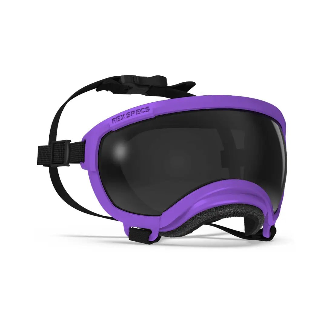 Rex Specs V2 - Beskyttelsesbriller - Beskyttelsesbriller (XS) fra Rex Specs | Kjøp hos A - Vet Shop