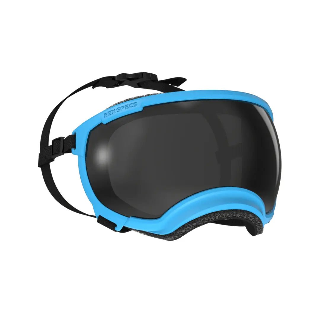 Rex Specs V2 - Beskyttelsesbriller - Beskyttelsesbriller (XS) fra Rex Specs | Kjøp hos A - Vet Shop