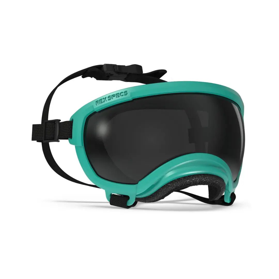 Rex Specs V2 - Beskyttelsesbriller - Beskyttelsesbriller (XS) fra Rex Specs | Kjøp hos A - Vet Shop