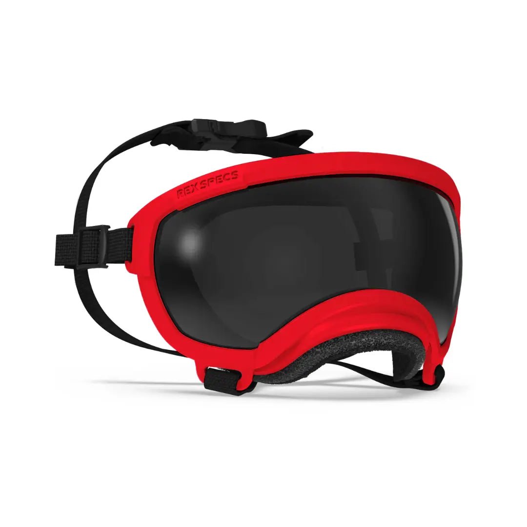 Rex Specs V2 - Beskyttelsesbriller - Beskyttelsesbriller (XS) fra Rex Specs | Kjøp hos A - Vet Shop